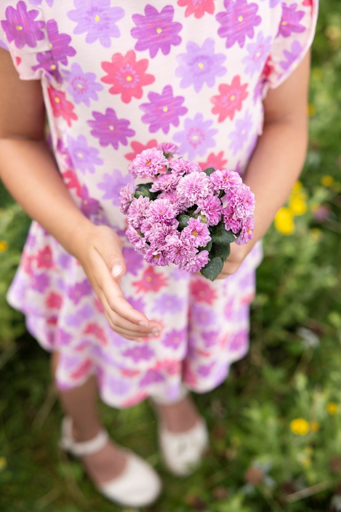 Jubel - Robe rose Picknick Perfect