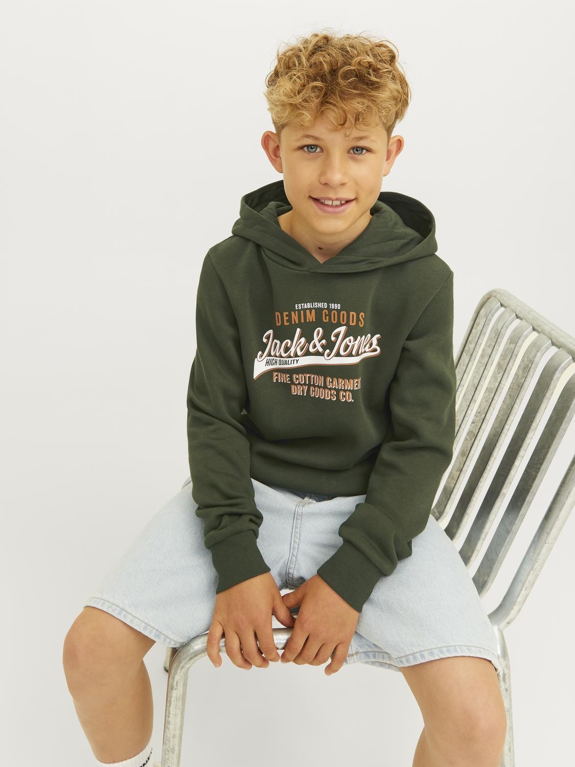 Jack&Jones - Sweat à capuche JJELOGO Kombu Green