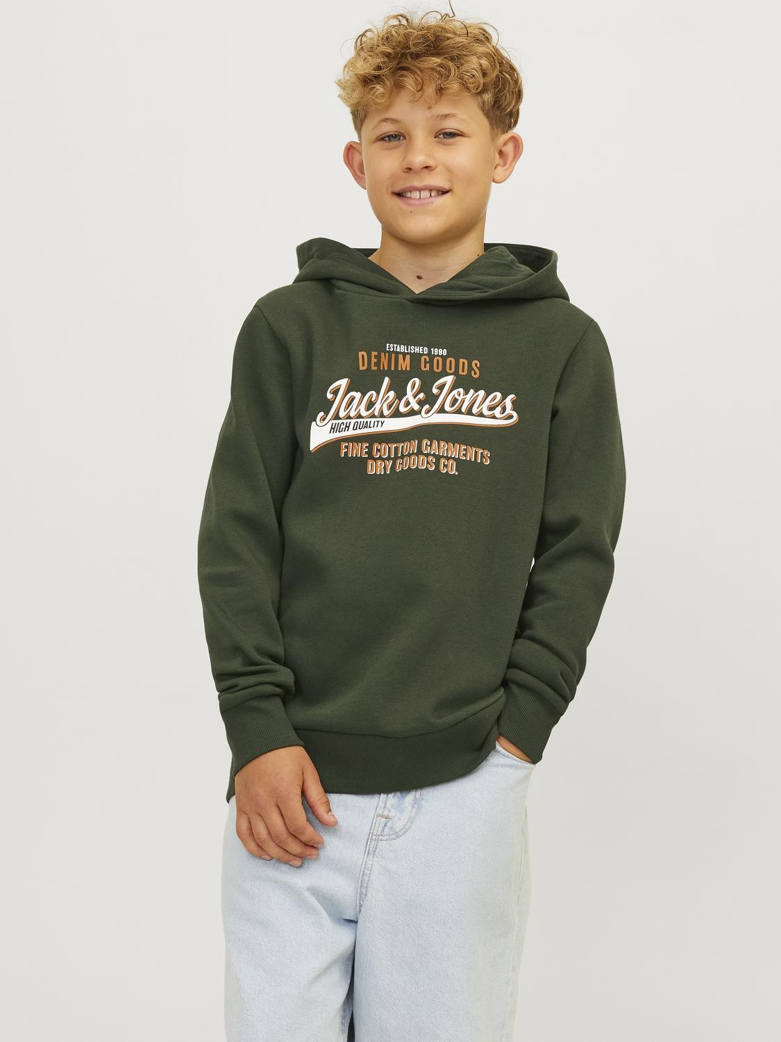 Jack&Jones - Sweat à capuche JJELOGO Kombu Green