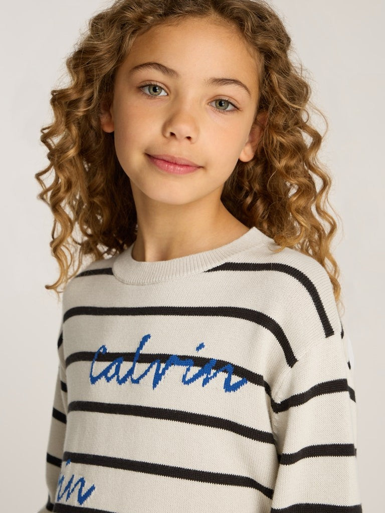 Calvin Klein - Sweat rayé Turtledove & Black Stripe Logo