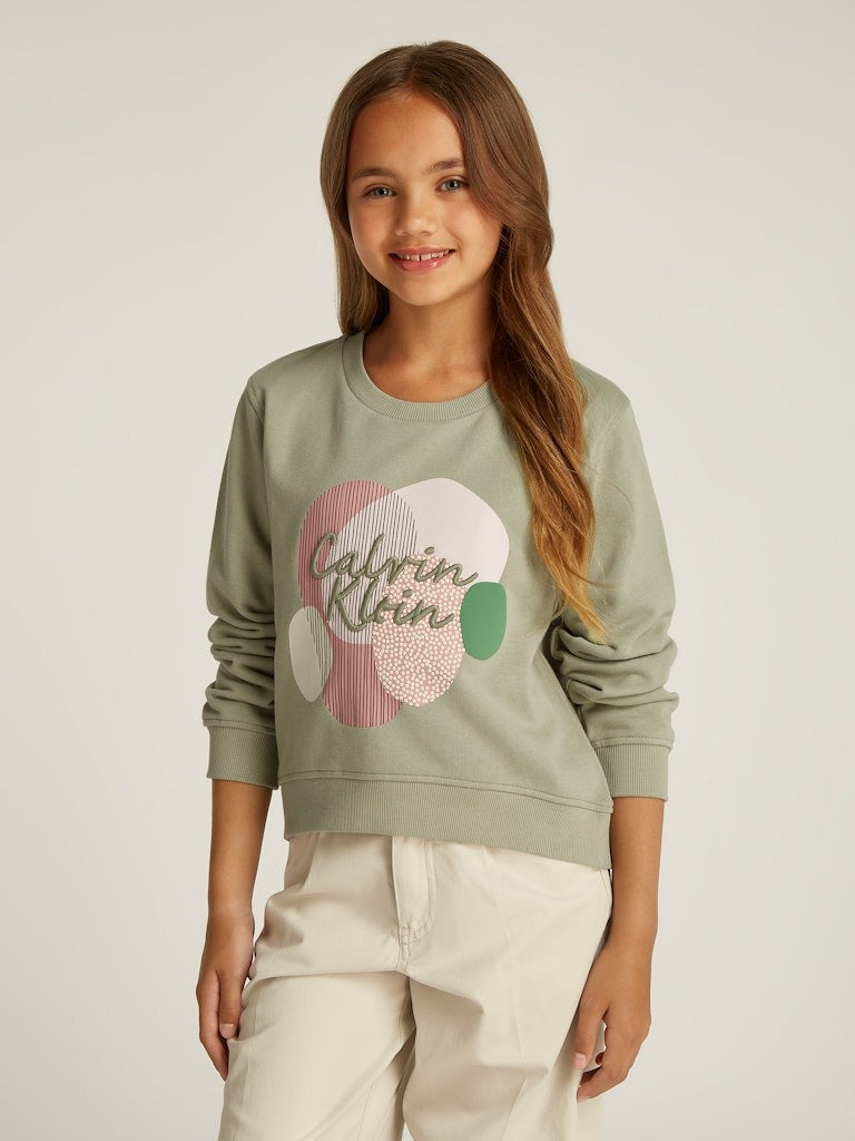 Calvin Klein - Schweiß Misty Vale Multi Graphic