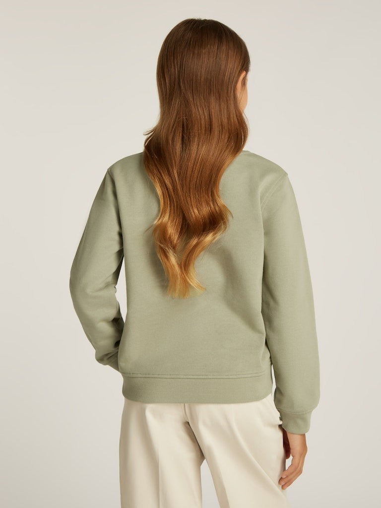 Calvin Klein - Sweat Misty Vale multi graphic