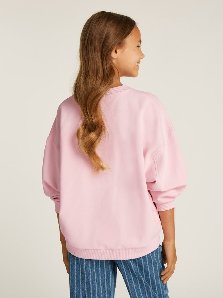 Calvin Klein - Sweat Chalk Pink Handw logo