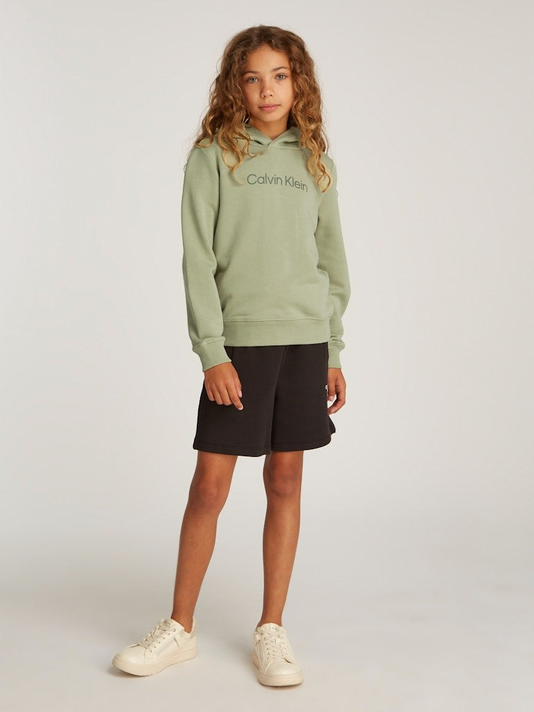 Calvin Klein - Sweat à capuche mixte Terry Misty Vale