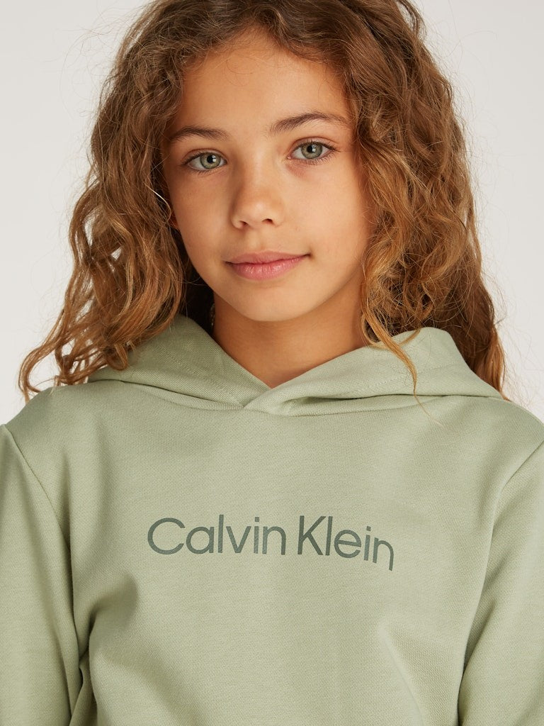 Calvin Klein - Sweat à capuche mixte Terry Misty Vale