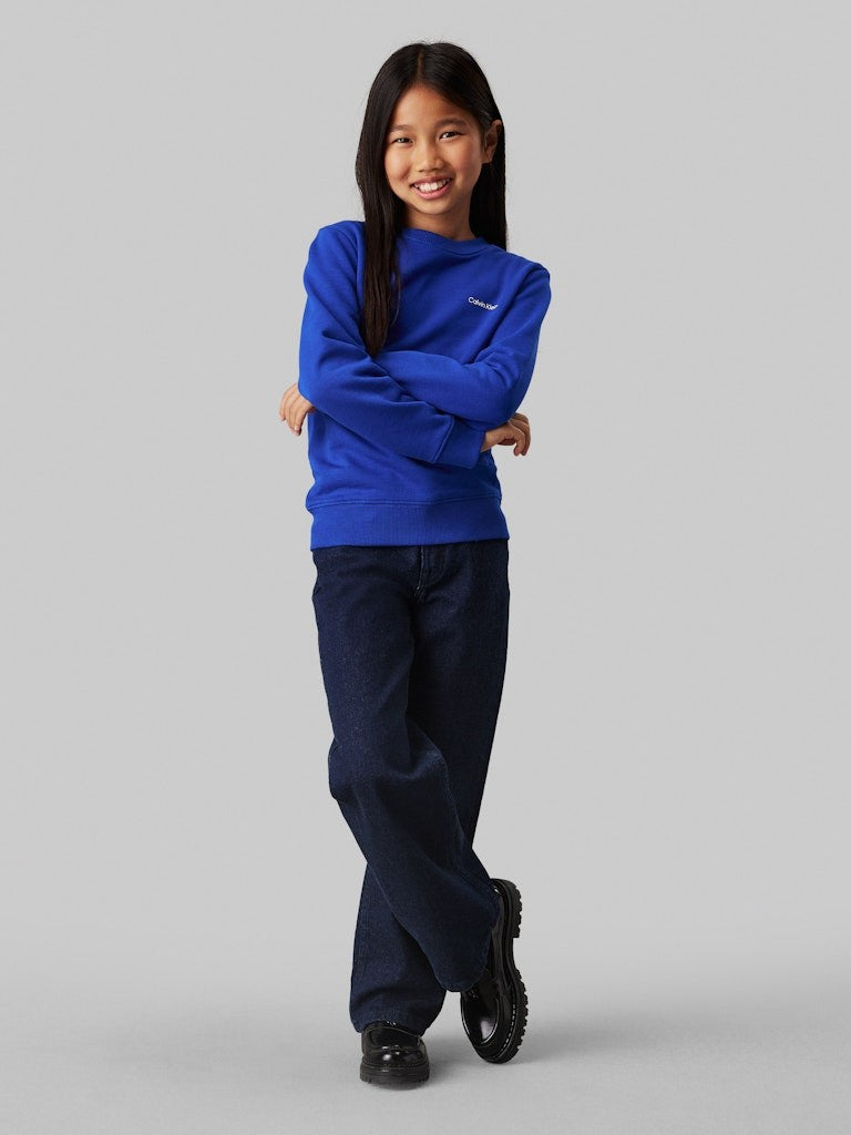 Calvin Klein - Sweat mixte Ultra Blue Chest