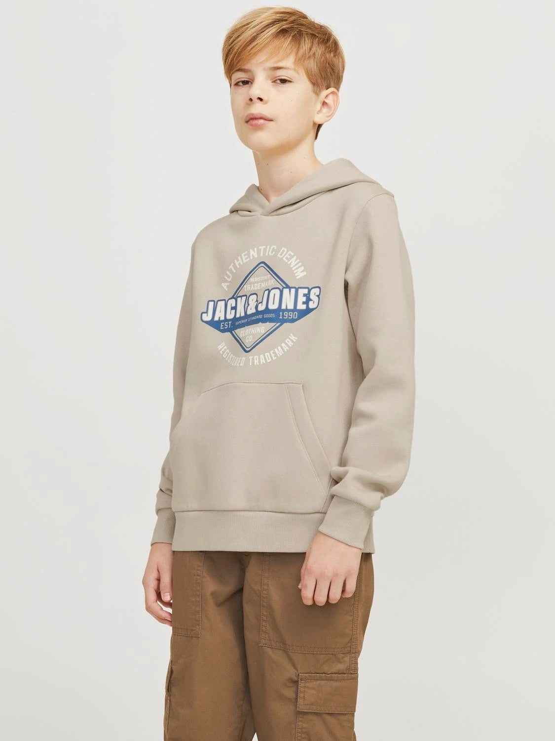 Jack & Jones - Jjelogo Moonbeam hoodie