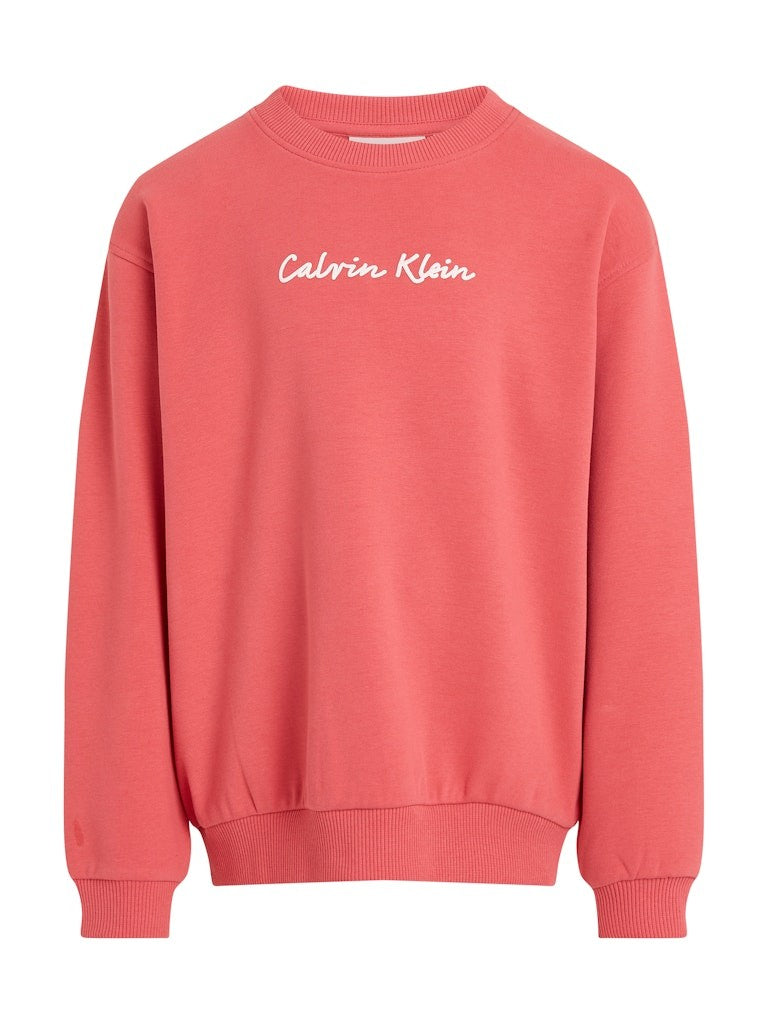 Calvin Klein - Sweat Purpur Obst
