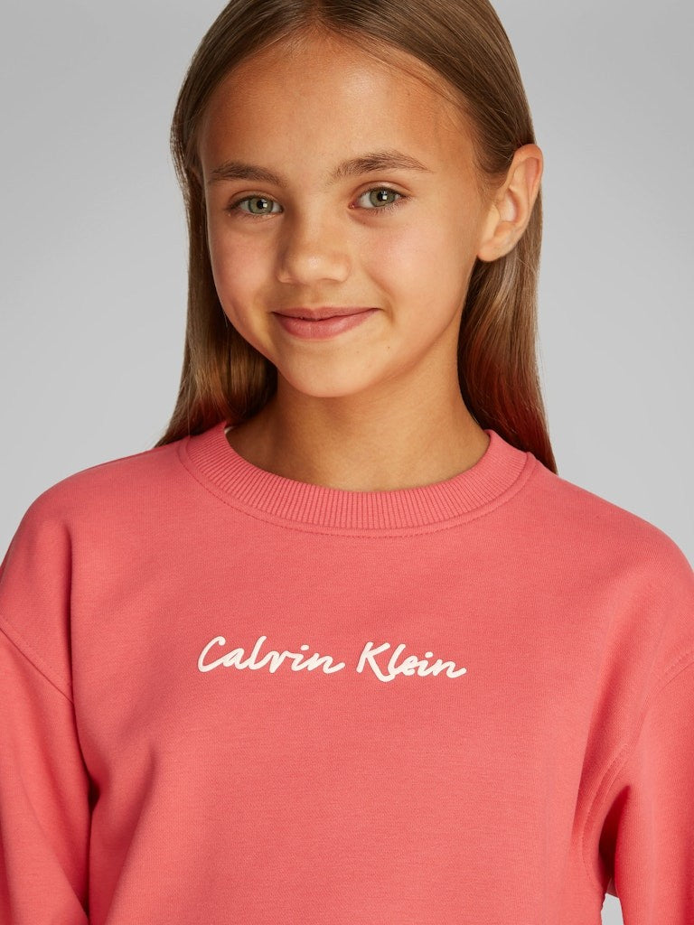 Calvin Klein - Sweat Purpur Obst