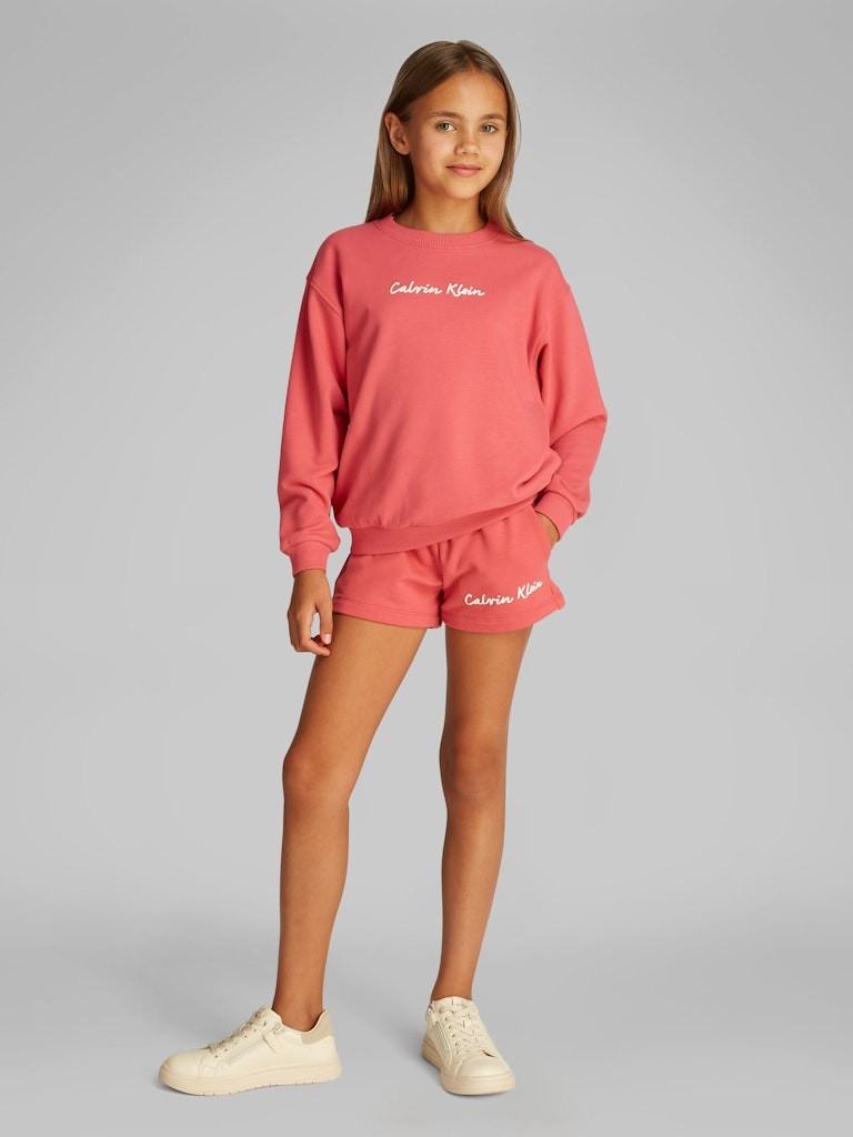 Calvin Klein - Sweat Purpur Obst
