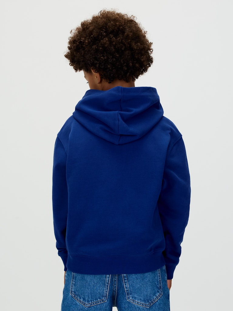 Calvin Klein - Sweat à capuche Color logo graphic Bold Blue