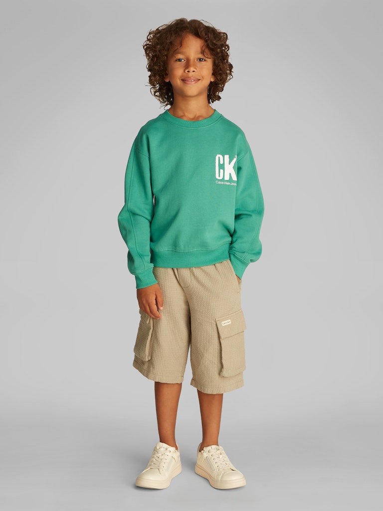 Calvin Klein - Sweat Bahama Green Summer Backprint
