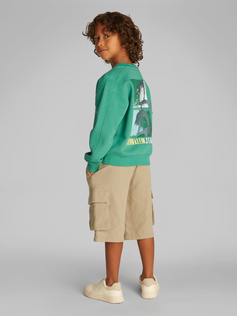 Calvin Klein - Sweat Bahama Green Summer Backprint