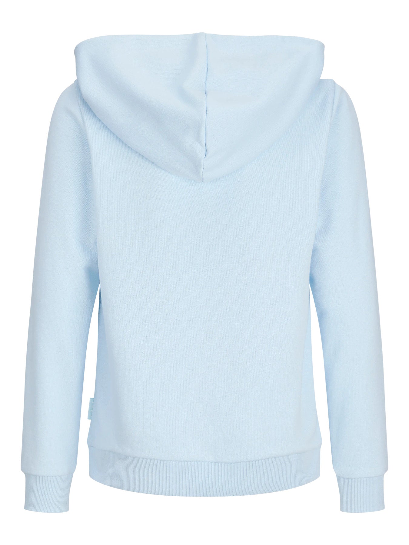 Jack&Jones - Sweat à capuche Omphalodes JCOFUSION