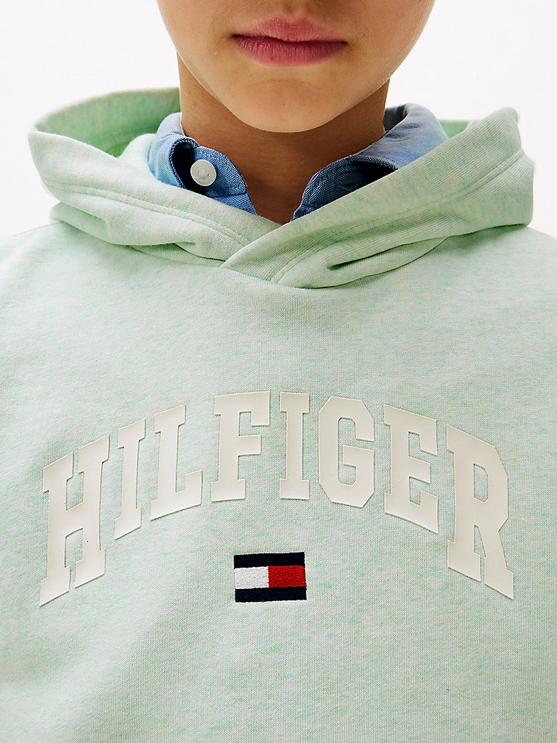 Tommy Hilfiger - Sweat à capuche Dew Green Heather