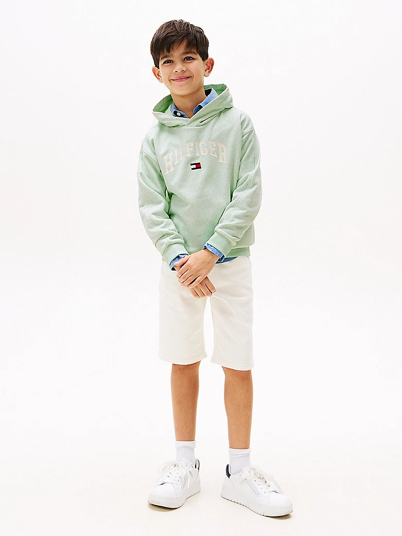 Tommy Hilfiger - Sweat à capuche Dew Green Heather