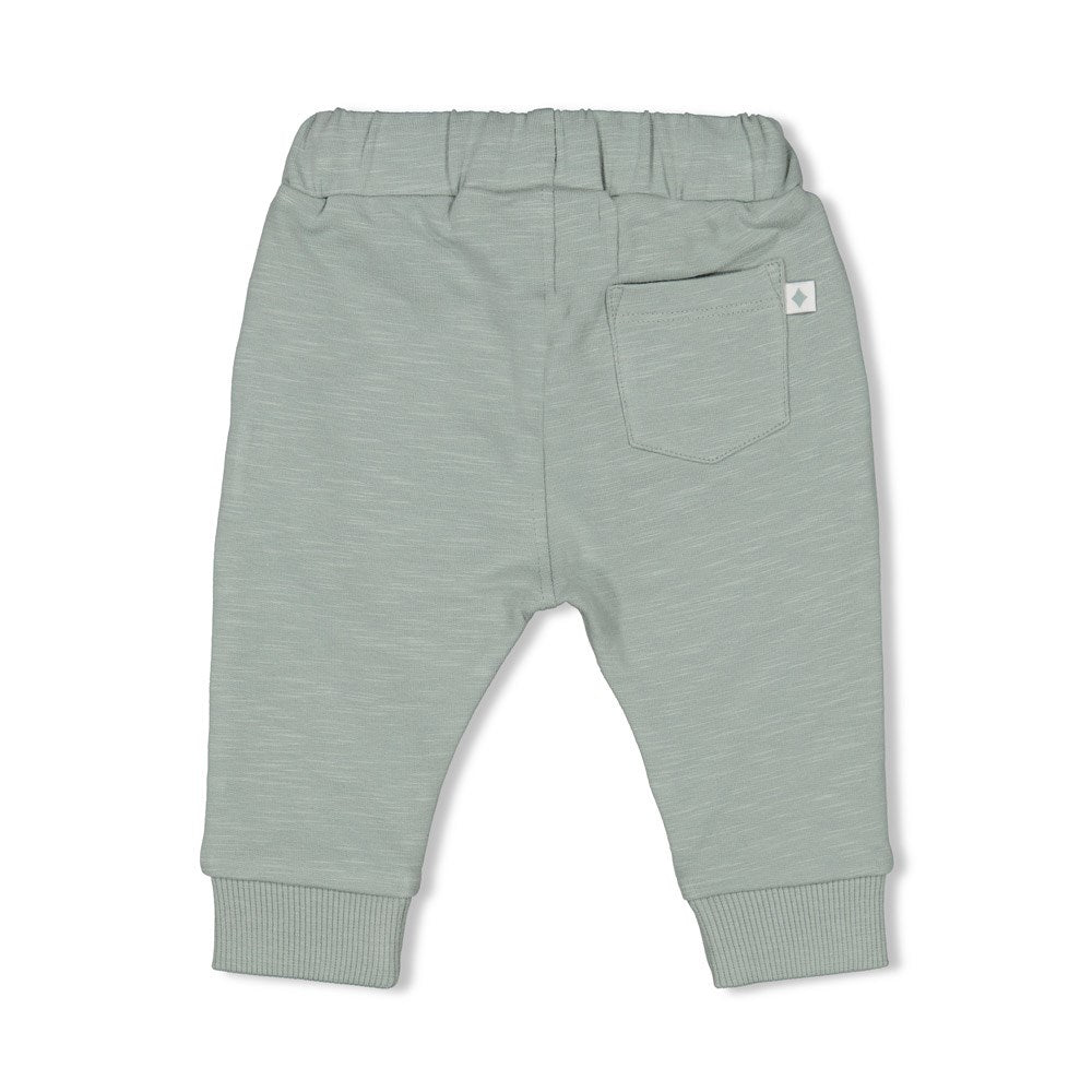 Feetje - pantalones fríos tortuga verde