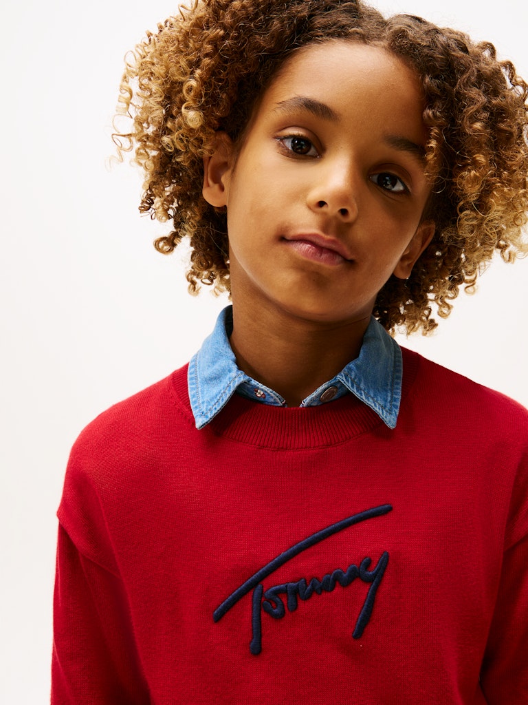 Tommy Hilfiger - Sweat graphic Medium Red