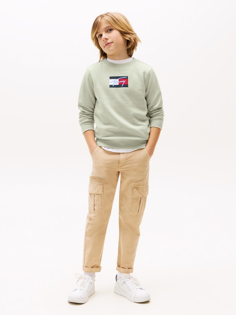 Tommy Hilfiger - Sweat Misty Sage Script Flag
