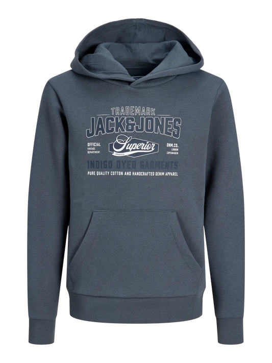 Jack&Jones - Sweat à capuche Turbulence JJELOGO