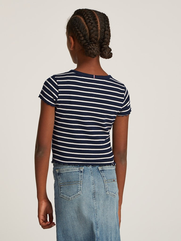 Tommy Hilfiger - Blue Base Striped t -Shirt