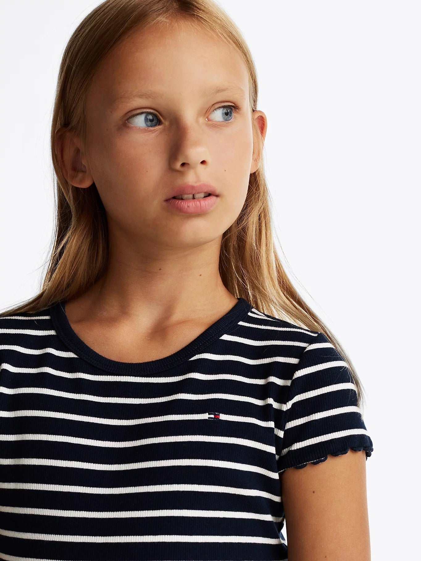 Tommy Hilfiger - Blue Base Striped t -Shirt