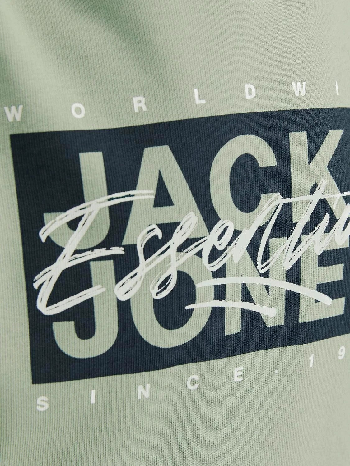 Jack&Jones - Sweat à capuche Iceberg Green JJCOLTON