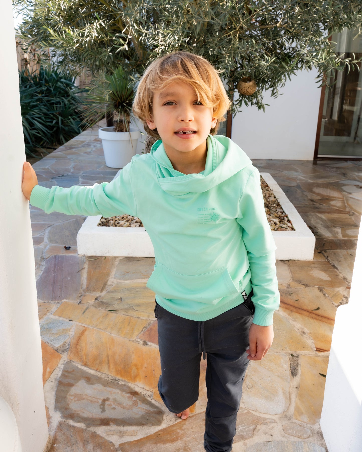 Skurk - Sweat à capuche backprint mint Sal