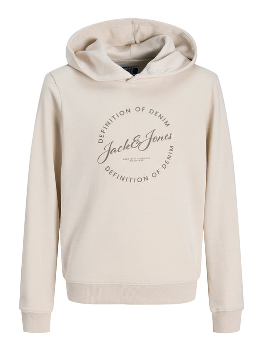 Jack&Jones - Sweat à capuche Moonbeam JJGRAYSON