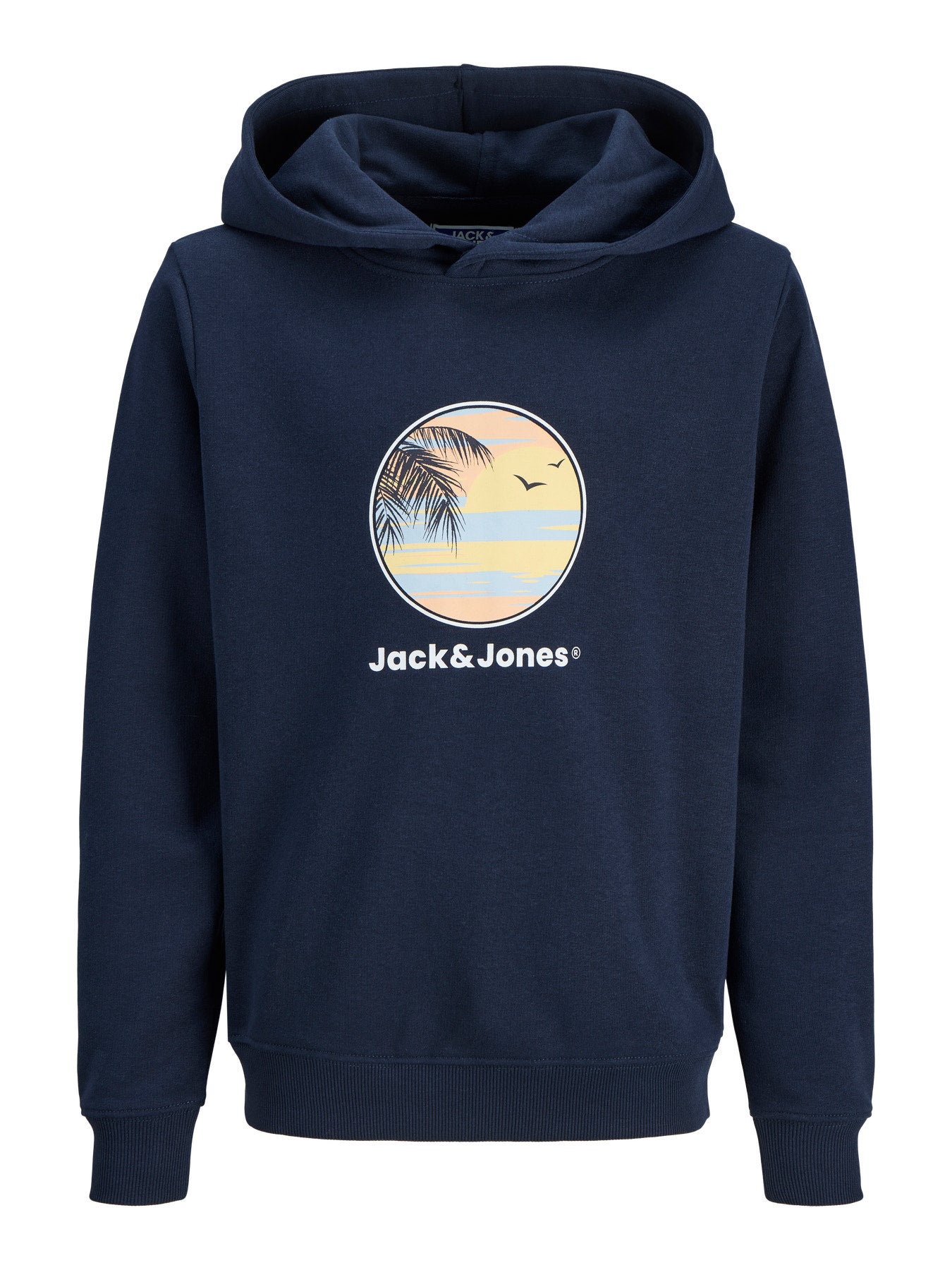Jack&Jones - Sweat à capuche Navy Blaze JJPERRY