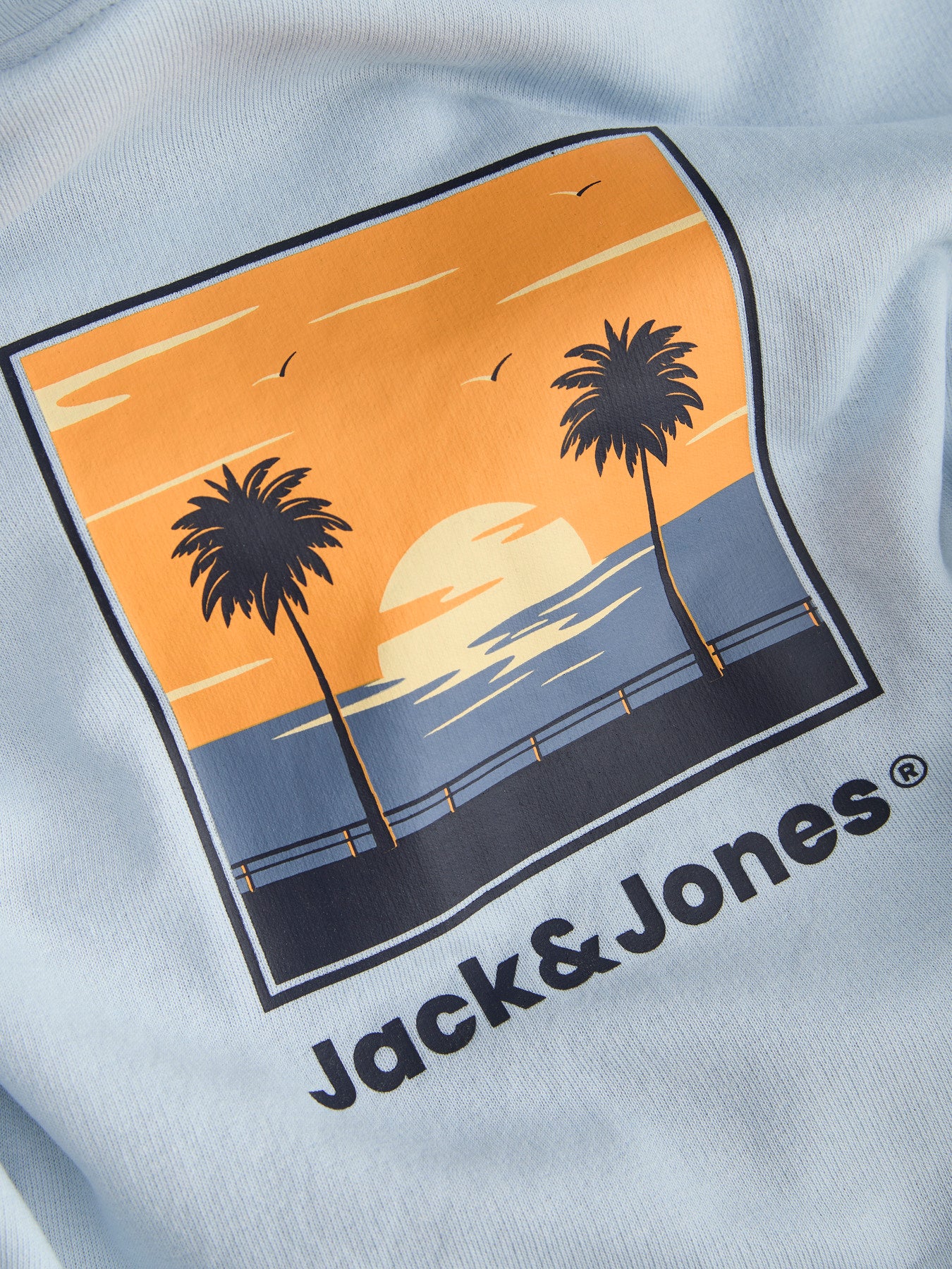 Jack&Jones - Sweat à capuche Célestial Blue JJPERRY