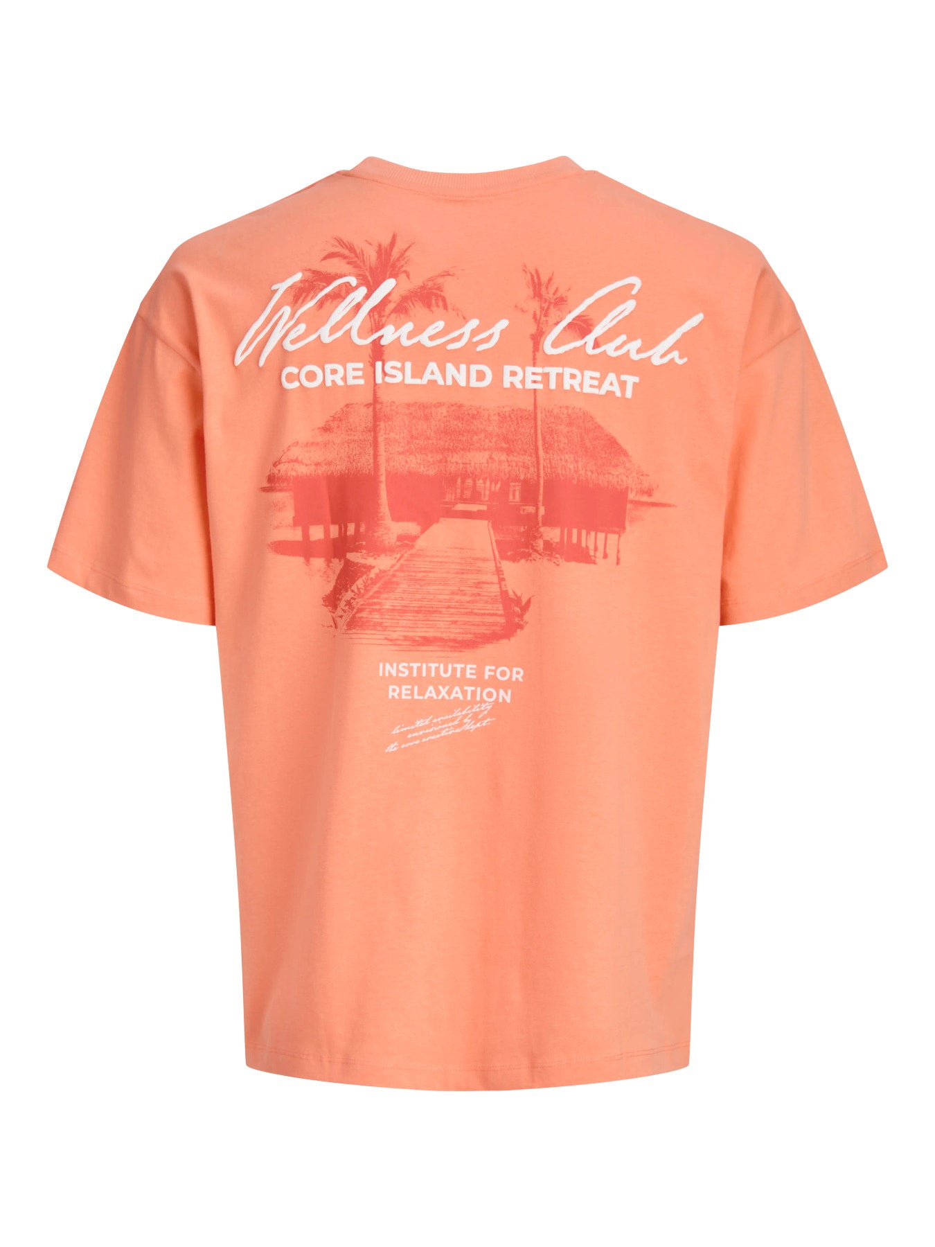 Jack & Jones - JO ETERNA T-shirt met persimmonprint op de achterkant