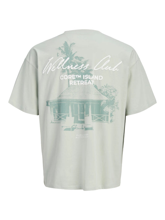 Jack&Jones - T-shirt backprint Aqua Gray JCOETERNA