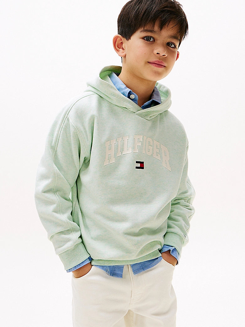 Tommy Hilfiger - Sweat à capuche Dew Green Heather