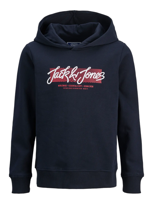 Jack&Jones - Sweat à capuche Sky Captain JJURBAN