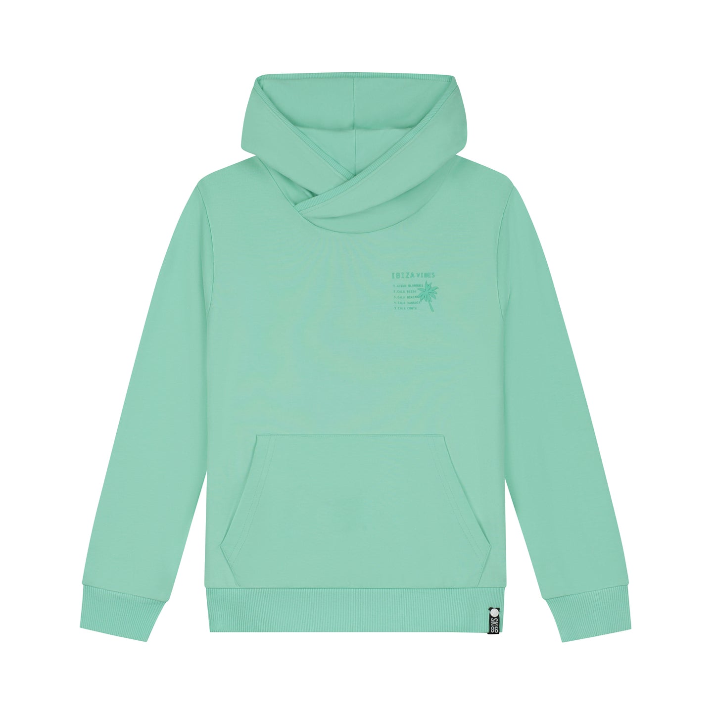 Skurk - Sweat à capuche backprint mint Sal