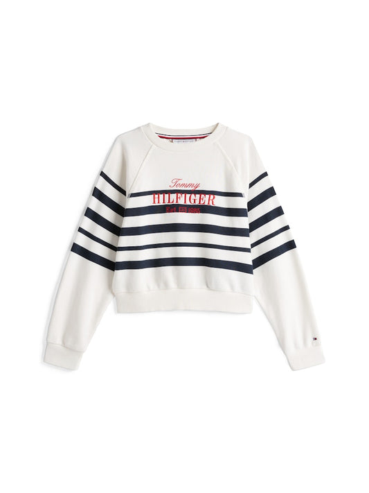 Tommy Hilfiger - Sweat Dark Niht Navy Stripes