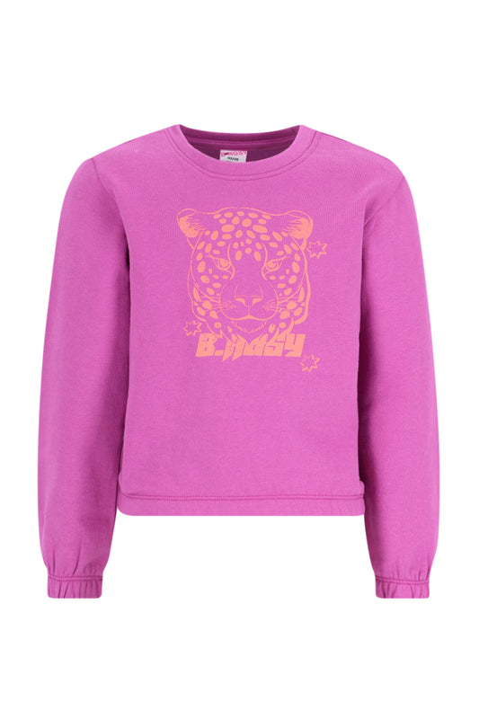 B.Nosy - Sweat Catt Orchid Sofia