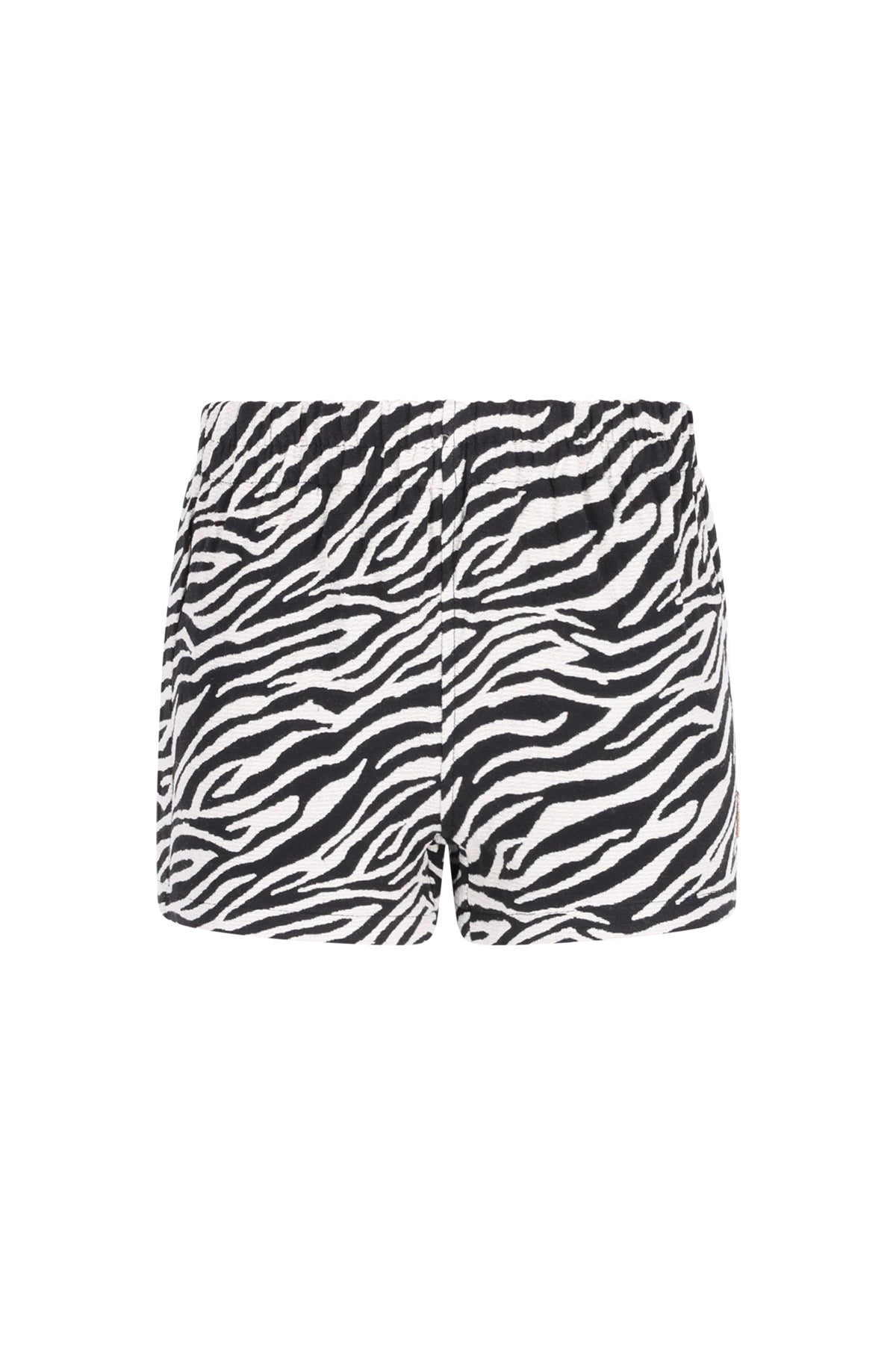 B.Nosy - Short Zebra Pam