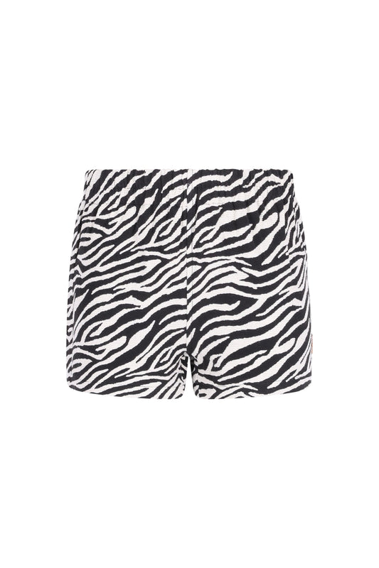 B.Nosy - Short Zebra Pam