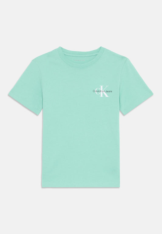 Calvin Klein - T-shirt Tickled Green mixte monogram